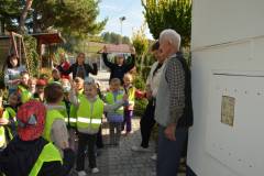 dsc_0059