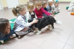 2026ochronkadebicapsy-5_wynik
