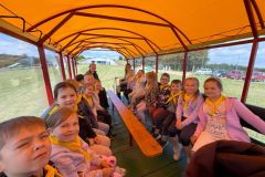 868e29e9-329a-4581-93b3-619d8a5d6894_wynik