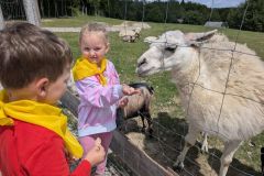 img-20260616-wa0325_wynik
