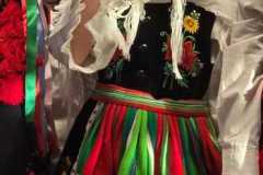 11-listopada-akademia-solec-kujawski-2025-15