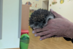 pxl_20251128_090148264.portrait