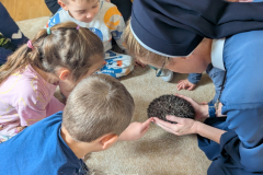 pxl_20251128_091502927.portrait