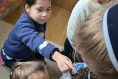 pxl_20251128_091506688.portrait