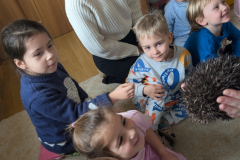 pxl_20251128_091507952.portrait