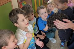 pxl_20251128_091523864.portrait