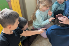 pxl_20251128_091709585.portrait