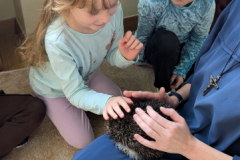 pxl_20251128_091712678.portrait.original