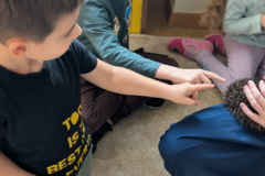 pxl_20251128_091717192.portrait