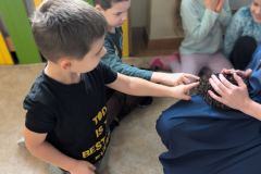 pxl_20251128_091718300.portrait