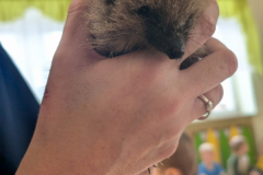 pxl_20251128_091840782.portrait