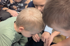 pxl_20251128_093149549.portrait