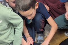 pxl_20251128_093156721.portrait