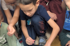 pxl_20251128_093204649.portrait