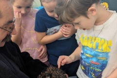 pxl_20251128_093231125.portrait