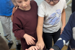 pxl_20251128_094022394.portrait