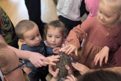 pxl_20251128_094026811.portrait