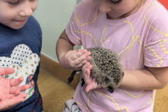 pxl_20251128_094146069.portrait