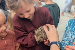 pxl_20251128_094156759.portrait