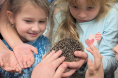 pxl_20251128_094212156.portrait