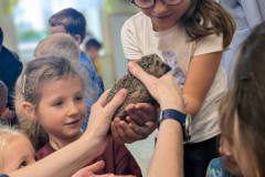 pxl_20251128_094227394.portrait