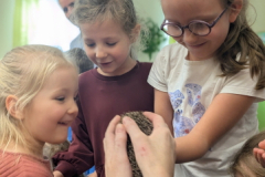 pxl_20251128_094232774.portrait