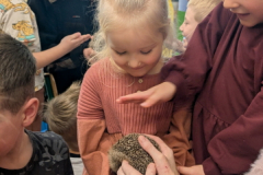 pxl_20251128_094245935.portrait