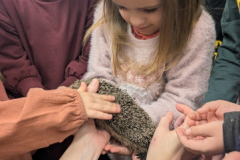 pxl_20251128_094252049.portrait