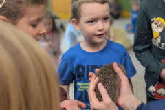 pxl_20251128_094314385.portrait