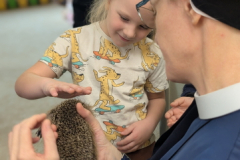 pxl_20251128_094319749.portrait