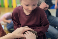 pxl_20251128_094327478.portrait