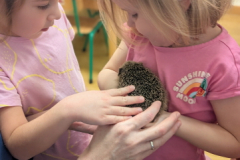 pxl_20251128_094359484.portrait