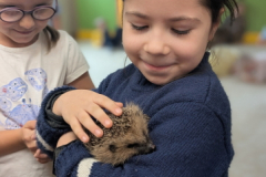 pxl_20251128_094421201.portrait