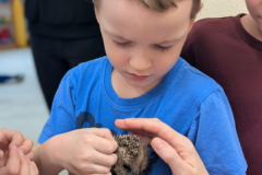 pxl_20251128_094446019.portrait