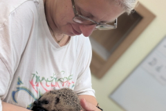 pxl_20251128_094607750.portrait