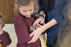 pxl_20251128_094957702.portrait