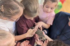 pxl_20251128_095033047.portrait