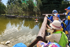 img20260616101919