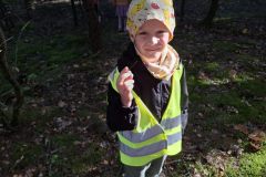img-20261003-wa0010