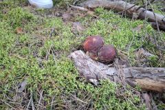 img-20261003-wa0012