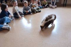 img_20250401_131919