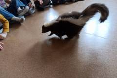 img_20250401_131928