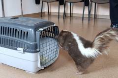 img_20250401_132732