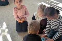 pxl_20260227_084244972.portrait.original