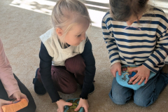 pxl_20260227_084253395.portrait