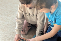 pxl_20260227_084324211.portrait