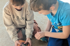 pxl_20260227_084325187.portrait