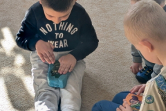 pxl_20260227_084452931.portrait.original