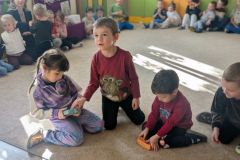 pxl_20260227_084514932.portrait