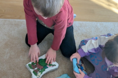 pxl_20260227_084531098.portrait